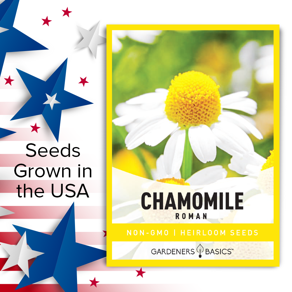 chamomile flower seeds for sale Roman Chamomile Seeds