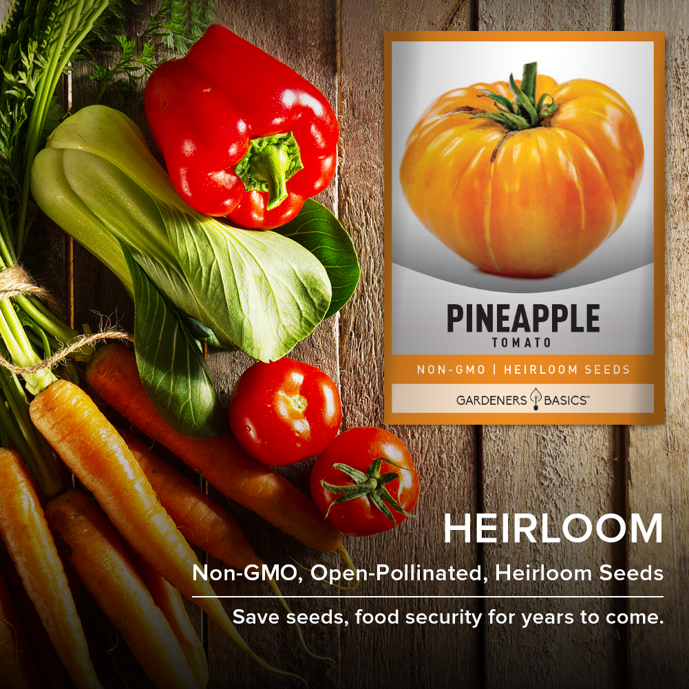 Experience the Satisfaction of Growing Pineapple Tomatoes with Our Quality Seeds