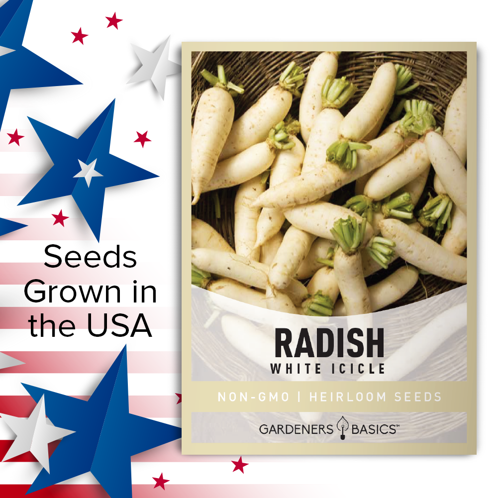 White Icicle Radish Seeds - Grow a Versatile, Nutrient-Rich Vegetable