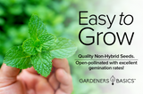Peppermint Seeds for the Perfect Herb Garden: Plant Now