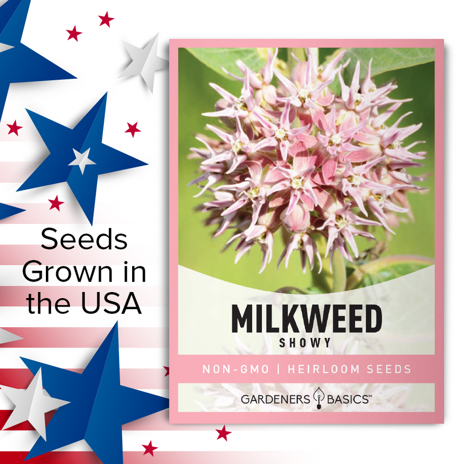 planting showy milkweed seeds Showy Milkweed Seeds for Planting Grow a Wildlife Haven In Your Garden –  Gardeners Basics
