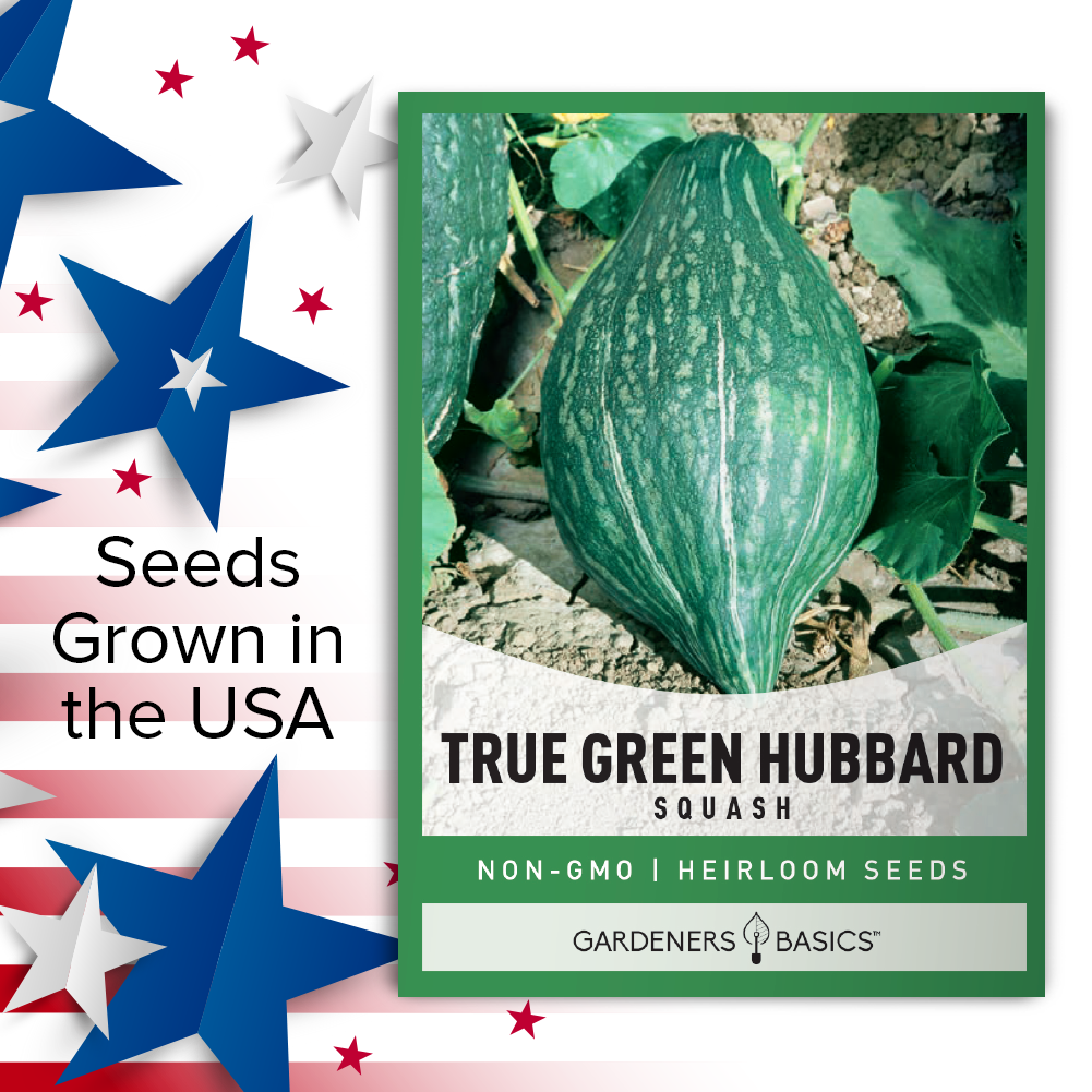 A Comprehensive Guide to Planting and Harvesting True Green Hubbard Squash
