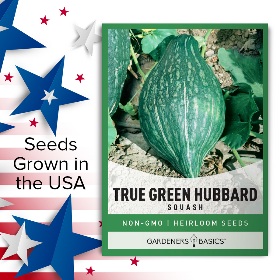 planting hubbard squash seeds True Green Hubbard Squash Seeds: Grow Your Own Nutrient-Rich Harvest – Gardeners Basics