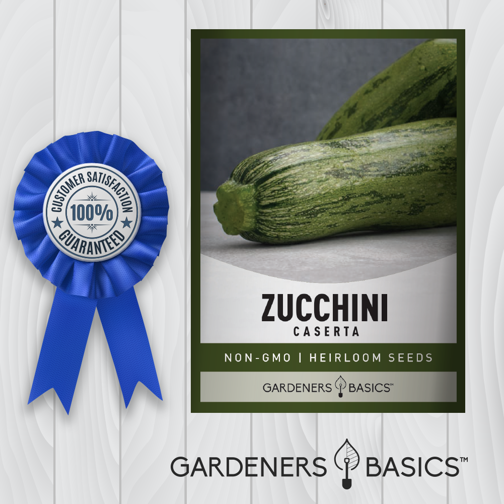 Healthy, Tasty, and Easy to Grow: Caserta Zucchini Seeds