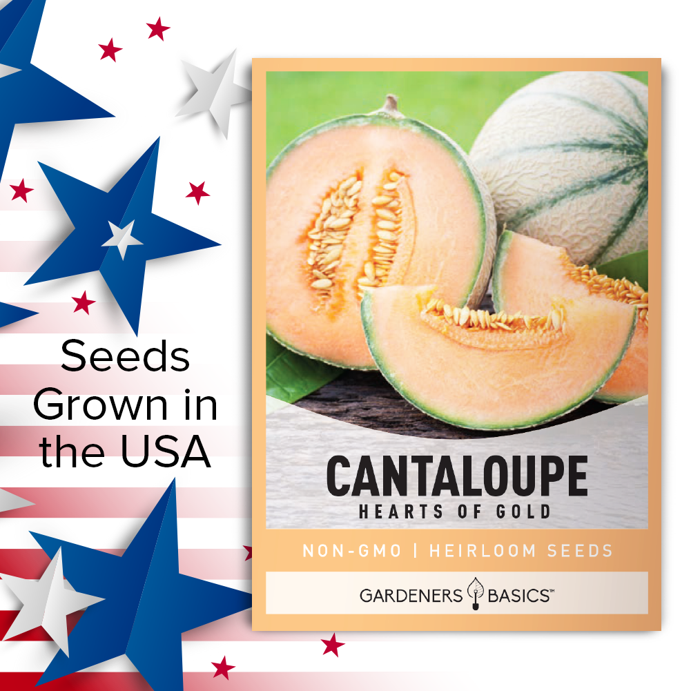 Grow Your Own Nutrient-Rich Hearts Of Gold Cantaloupe