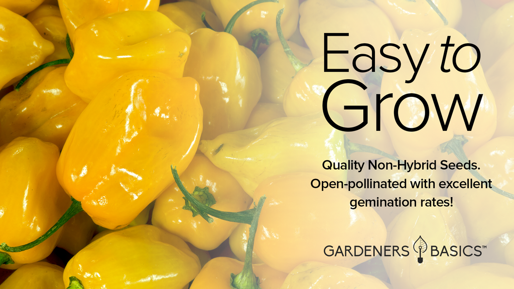 The Best Yellow Habanero Pepper Seeds for Your Garden