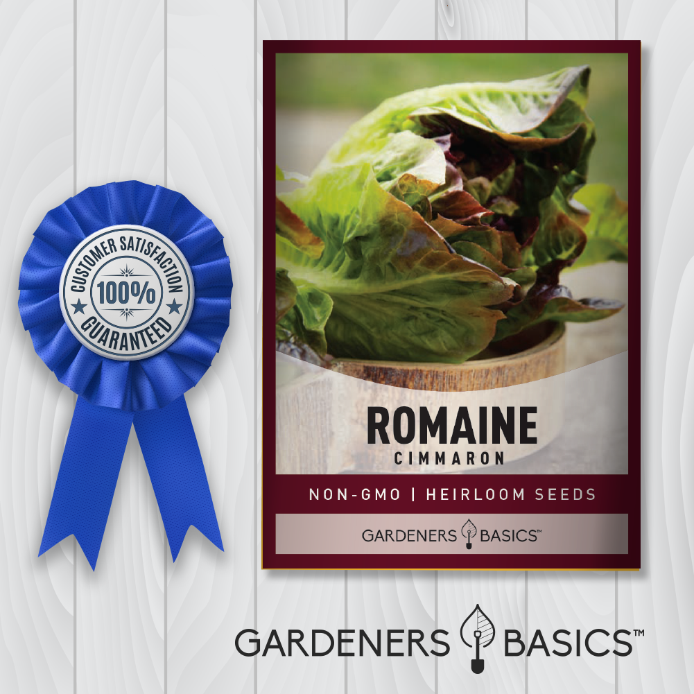 Cimmaron Romaine Lettuce Seeds: Your Key to a Successful Salad Garden