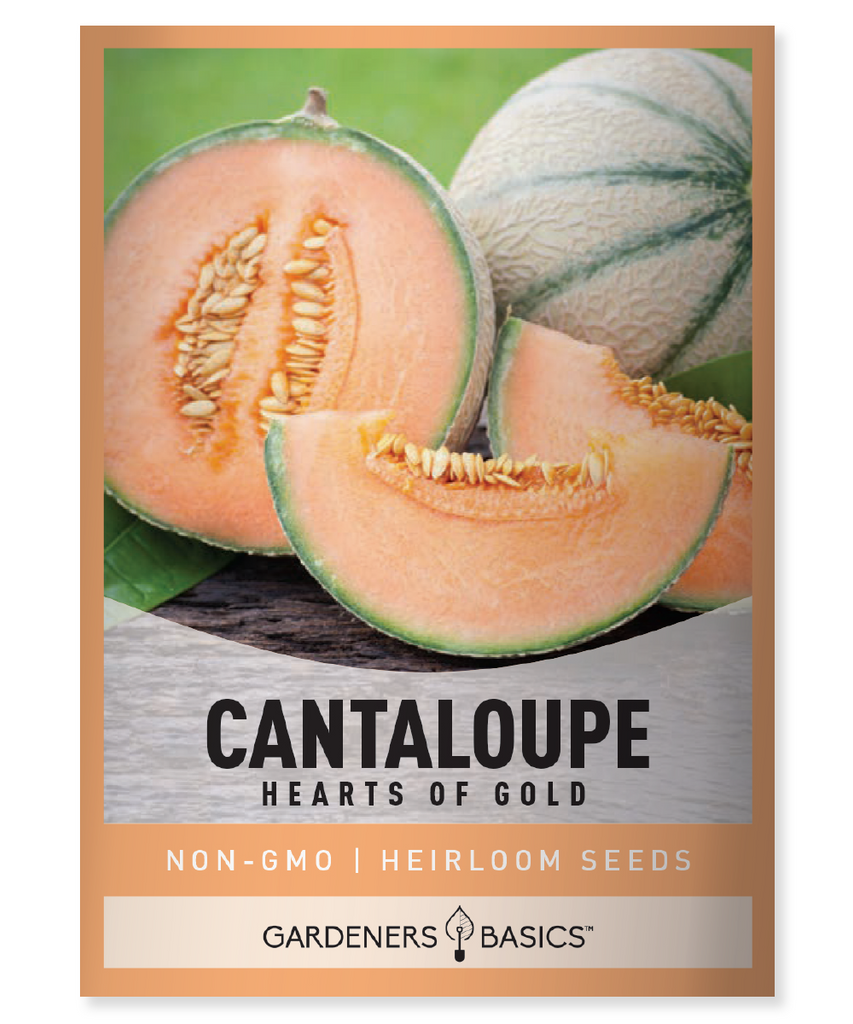 Hearts Of Gold Cantaloupe Cantaloupe seeds Cantaloupe planting Organic cantaloupe seeds Non-GMO cantaloupe seeds Homegrown cantaloupe Garden cantaloupe Cantaloupe harvest Cantaloupe growing tips Sweet cantaloupe Juicy cantaloupe Melon seeds Cantaloupe gardening Cantaloupe varieties Fruit seeds Healthy fruit Vitamin-rich cantaloupe Summer fruit garden Easy-to-grow cantaloupe Garden fruit seeds