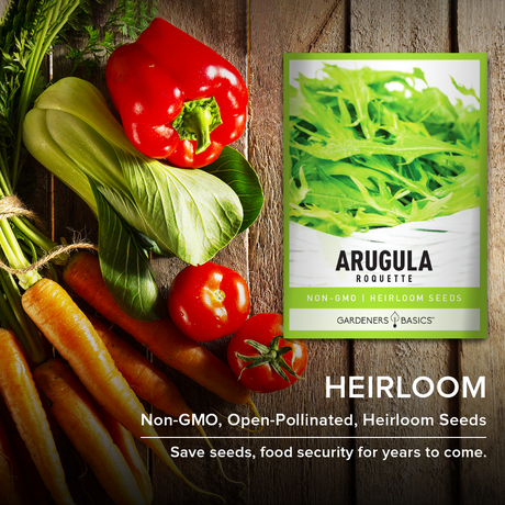 Roquette Arugula Seeds For Planting Non-GMO Seeds For Home Vegetable Garden Heirloom
