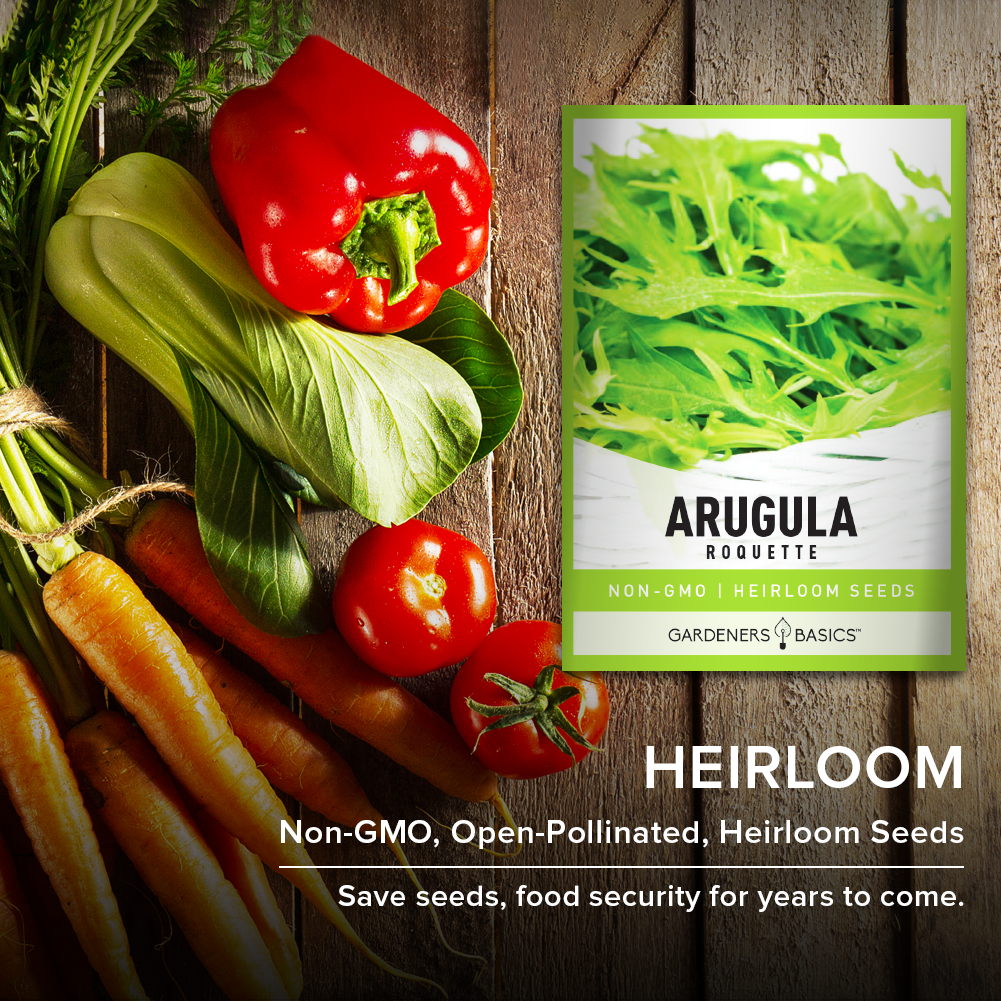 Roquette Arugula Seeds For Planting Non-GMO Seeds For Home Vegetable Garden Heirloom