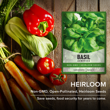Genovese Basil Seeds For Planting Non-GMO Seeds For Home Herb Garden Heirloom