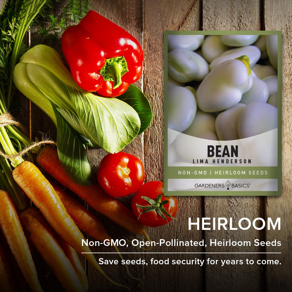 Lima Henderson Bean Seeds For Planting Non-GMO Seeds For Home Vegetable Garden Heirloom