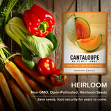 Hales Best Jumbo Cantaloupe Seeds For Planting Non-GMO Fruit Seeds For Home Fruit Garden Heirloom