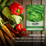 UT 52-70 Celery Seeds For Planting Non-GMO Seeds For Home Vegetable Garden Heirloom