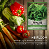 Heirloom Parris Island Cos romaine lettuce seeds for planting