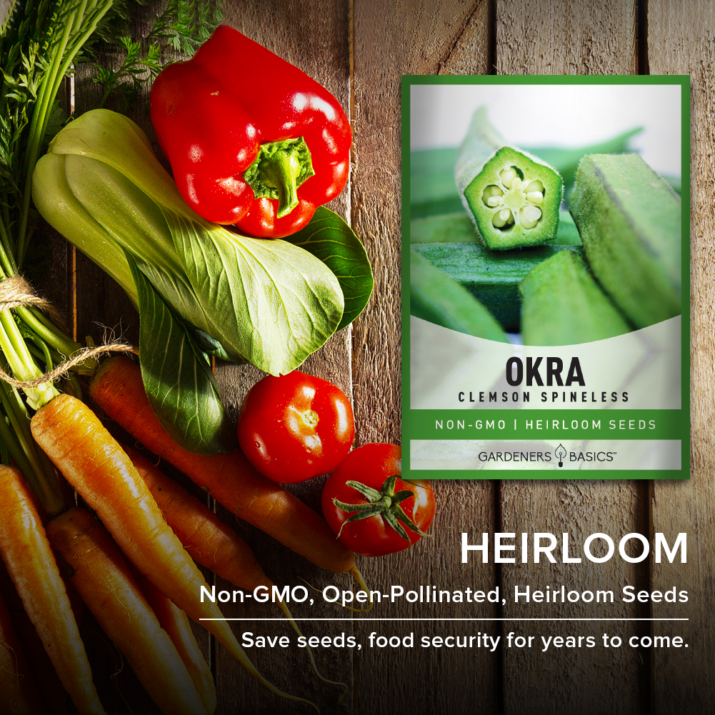 Clemson Spineless Okra Seeds For Planting Non-GMO Seeds For Home Vegetable Garden Heirloom