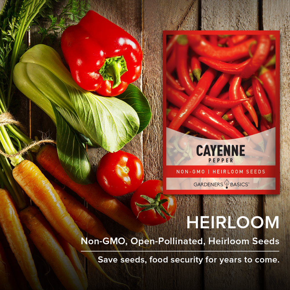 Cayenne Pepper Seeds For Planting Non-GMO Seeds For Home Vegetable Garden Heirloom