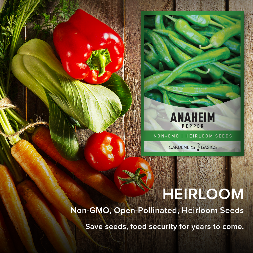 Anaheim Pepper Seeds For Planting Heirloom Non-GMO Vegetable Seed For Home Garden