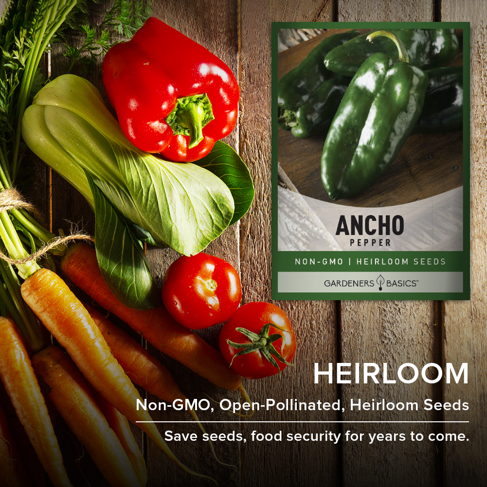 Ancho Pepper Seeds For Planting Non-GMO Vegetable Home Garden Seeds