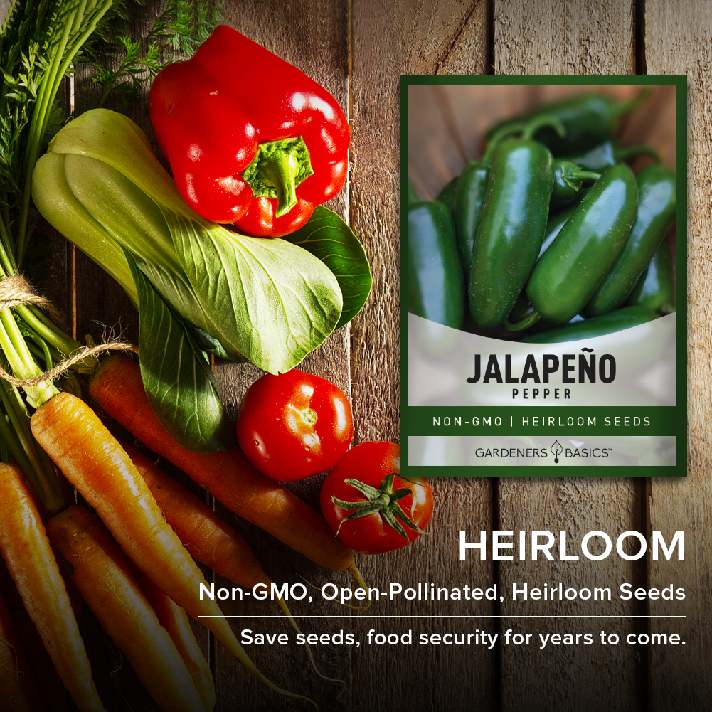 saving jalapeno seeds for planting Jalapeño Pepper Seeds