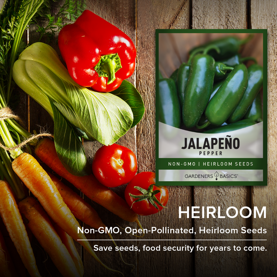 jalapeno seeds for planting Gardeners Basics, Jalapeno Pepper Seeds for Planting Heirloom Non-GMO Jalapeno Peppers Plant Seeds for Home Garden Vegetables Makes a Great Gift for