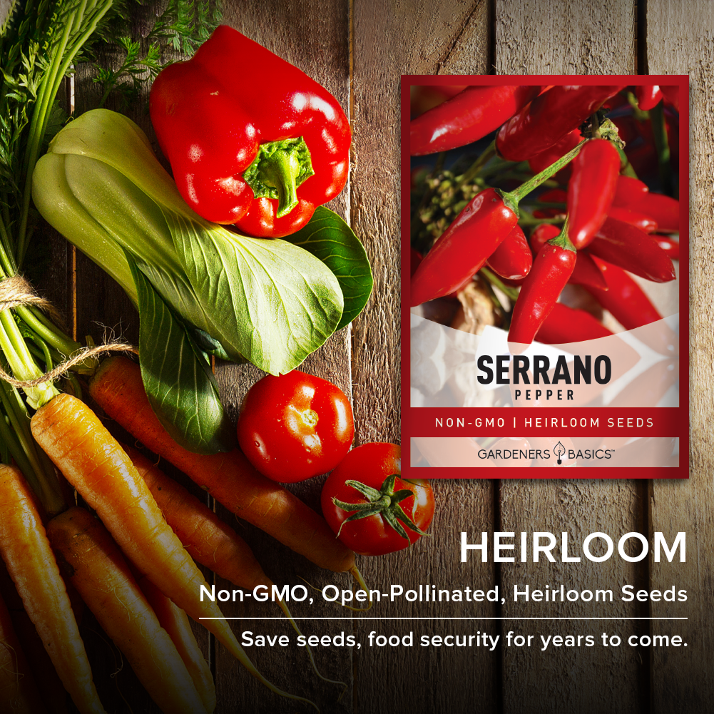 Serrano Pepper Seeds For Planting Non-GMO Seeds For Home Pepper Garden Vegetables Heirloom Seeds