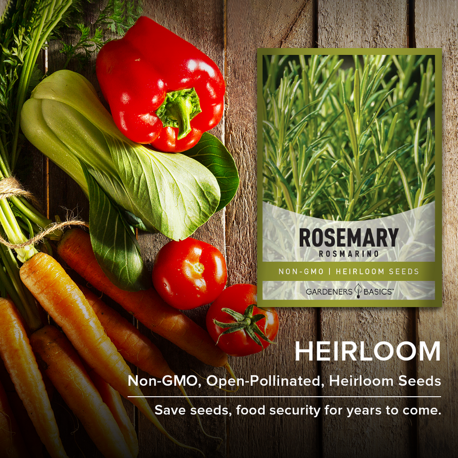 Grow Your Own Fragrant Garden with Premium Rosemary Seeds for