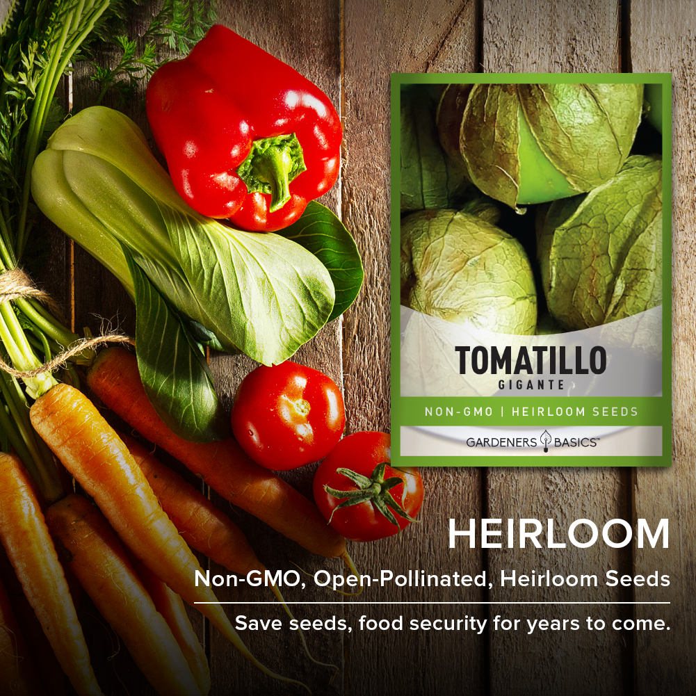 Gigante Tomatillo Tomato Seeds For Planting Non-GMO Tomato Seeds For Home Vegetable Garden Heirloom
