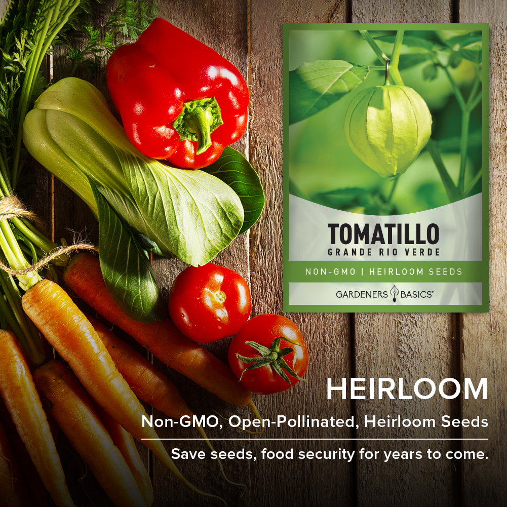 Grande Rio Verde Tomatillo Seeds For Planting Non-GMO Tomato Seeds For Home Vegetable Garden Heirloom