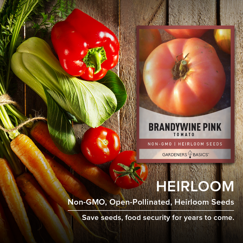 rosada tomato seeds usa Gardeners Basics Brandywine Pink Tomato Seeds for Planting Heirloom Non-GMO Seeds for Home Garden Vegetables Makes a Great Gift for Gardening