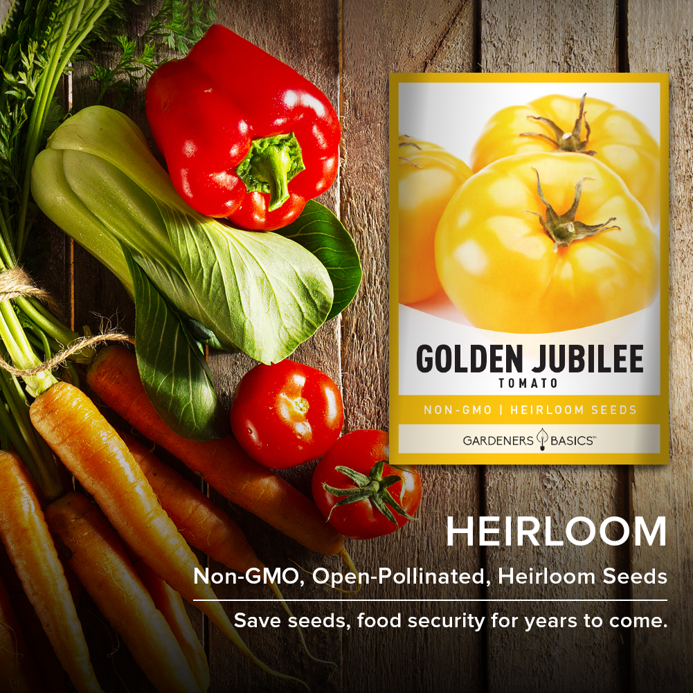 Golden Jubilee Tomato Seeds For Planting Non-GMO Seeds For Home Vegetable Garden Heirloom