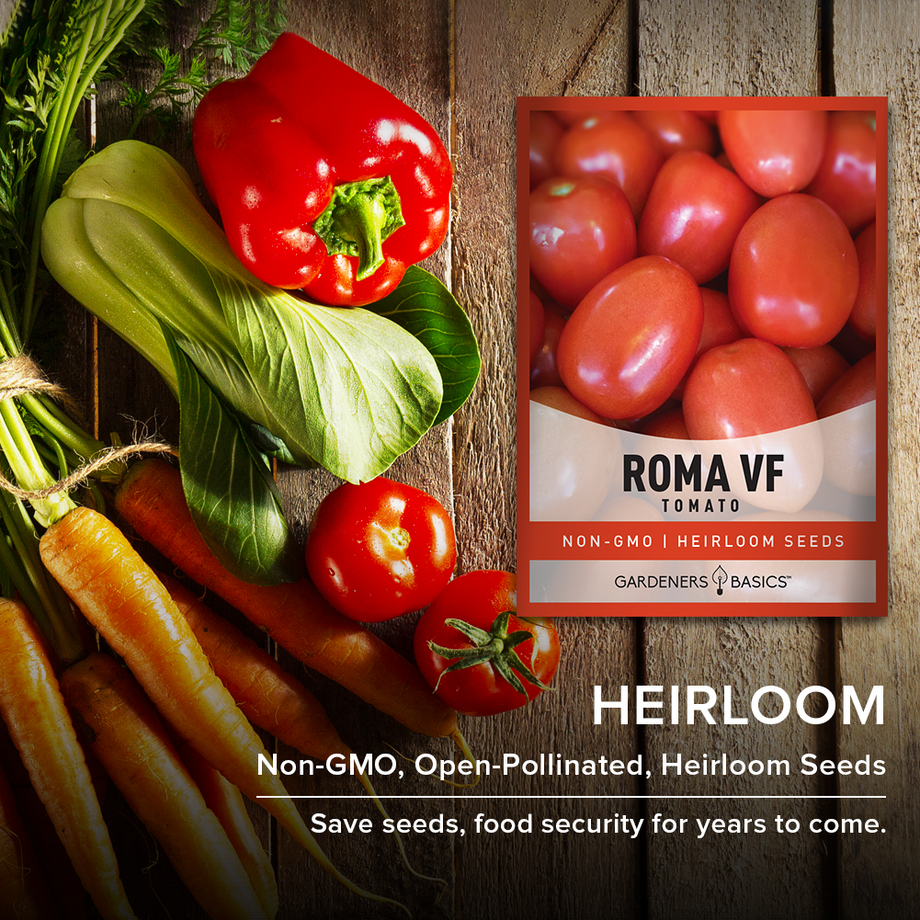 saving heirloom tomato seeds for planting Roma VF Tomato Seeds – Gardeners Basics