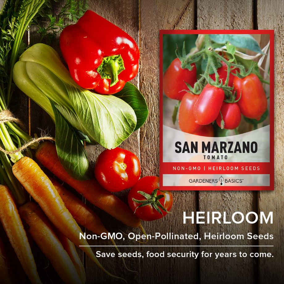 thumbnail image 2 of San Marzano Tomato Seeds - 66 Non-GMO Heirloom Seeds 2 of 10
