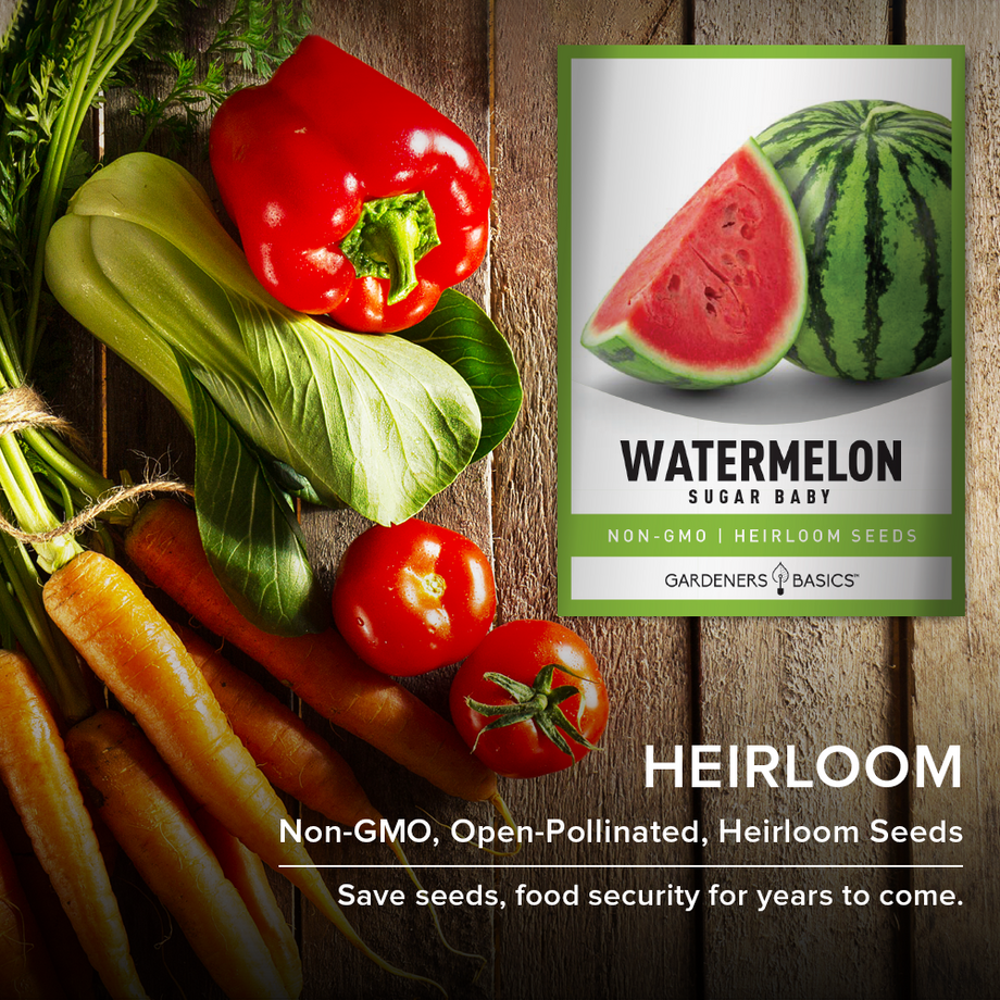 Heirloom Sugar Baby Watermelon Seeds