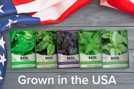 Master the Art of Basil Growing with Our Unique Seed Collection