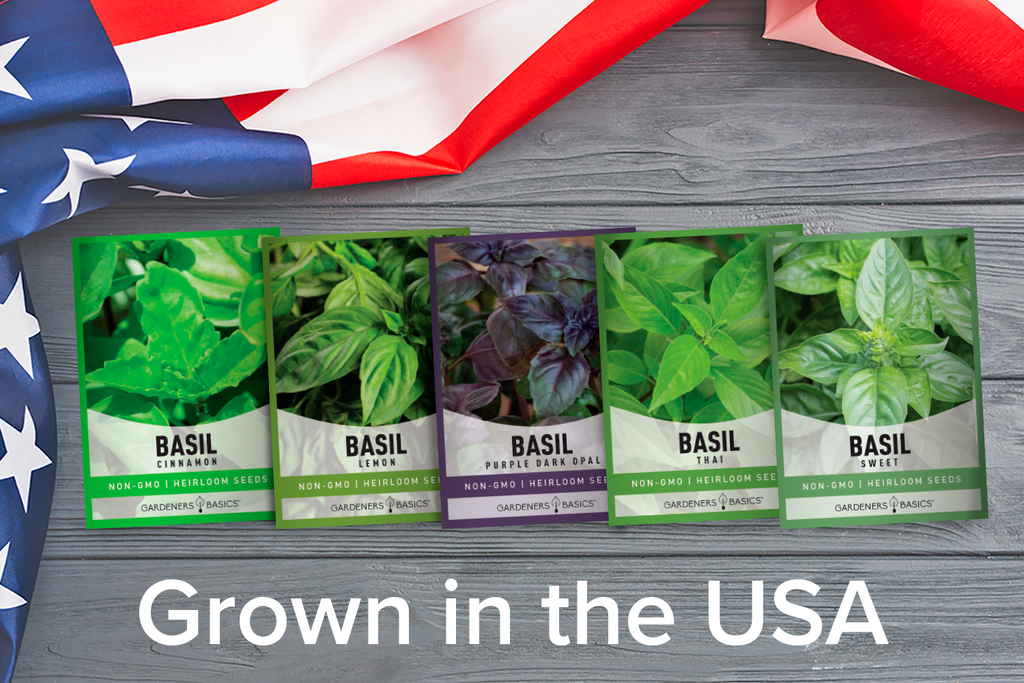 Master the Art of Basil Growing with Our Unique Seed Collection