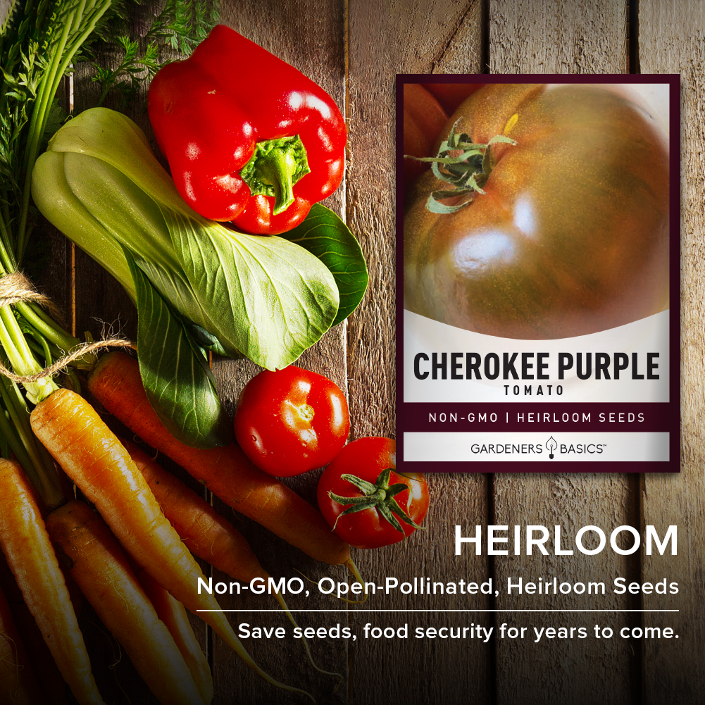 Grow a Taste of History with Heirloom Cherokee Purple Tomato Seeds