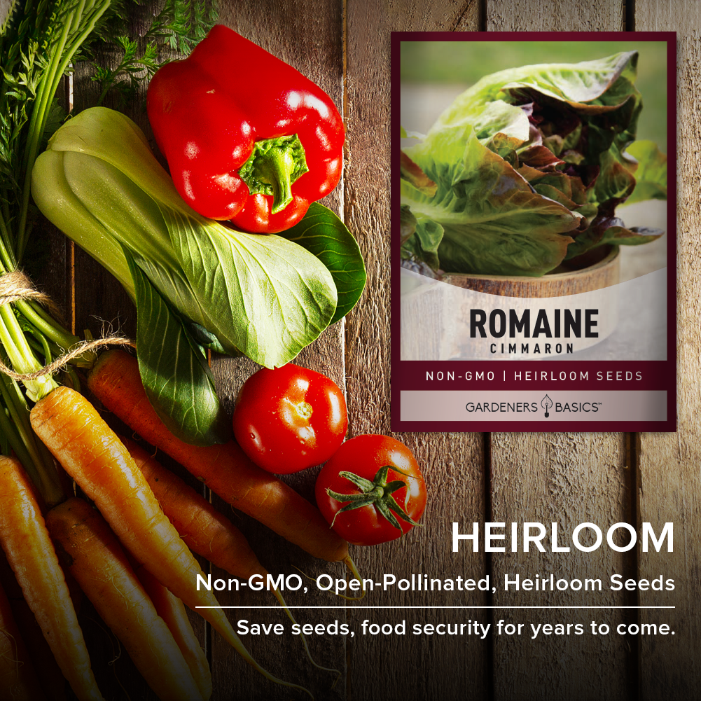 Cimmaron Romaine Lettuce Seeds: The Superior Choice for Gardeners
