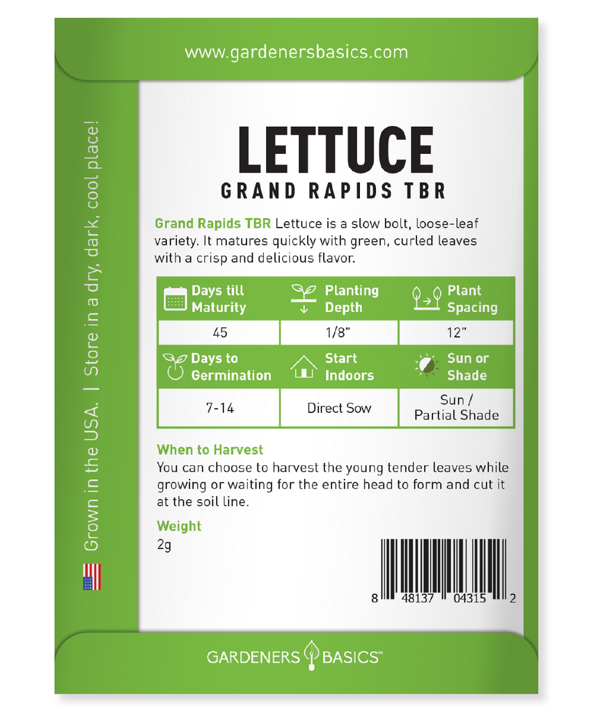 Disease-Resistant Grand Rapids TBR Lettuce Seeds for Robust Growth