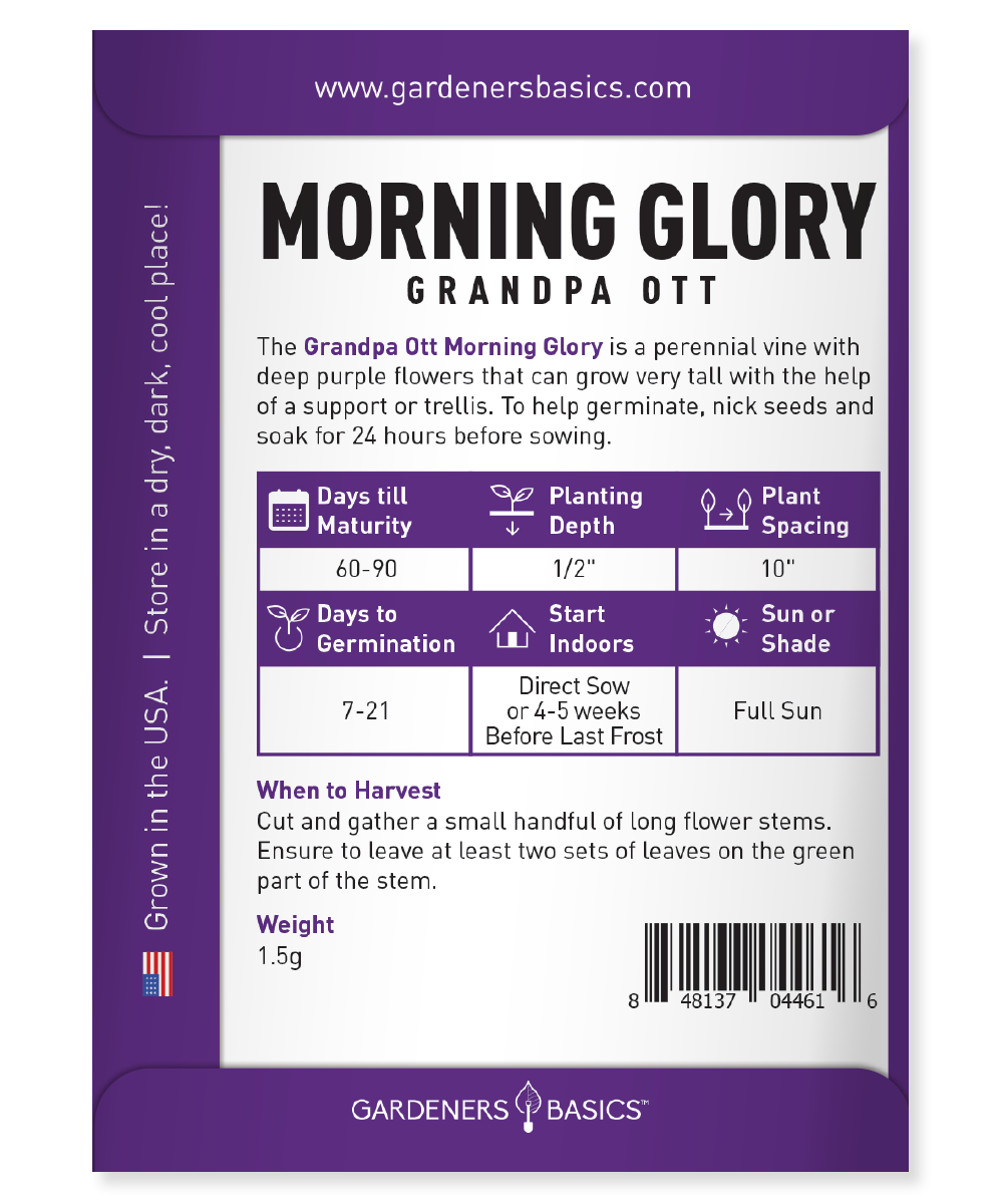 Attract Bees, Butterflies & Hummingbirds with Morning Glory Grandpa Ott Seeds