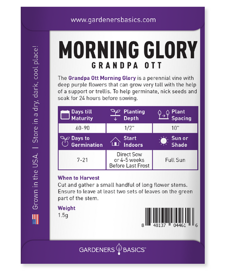 Attract Bees, Butterflies & Hummingbirds with Morning Glory Grandpa Ott Seeds