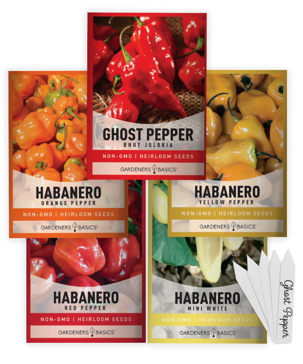hot pepper plant seeds Spicy Pepper Seeds Variety – 5 Heirloom & Non-GMO Hot Pepper Seeds