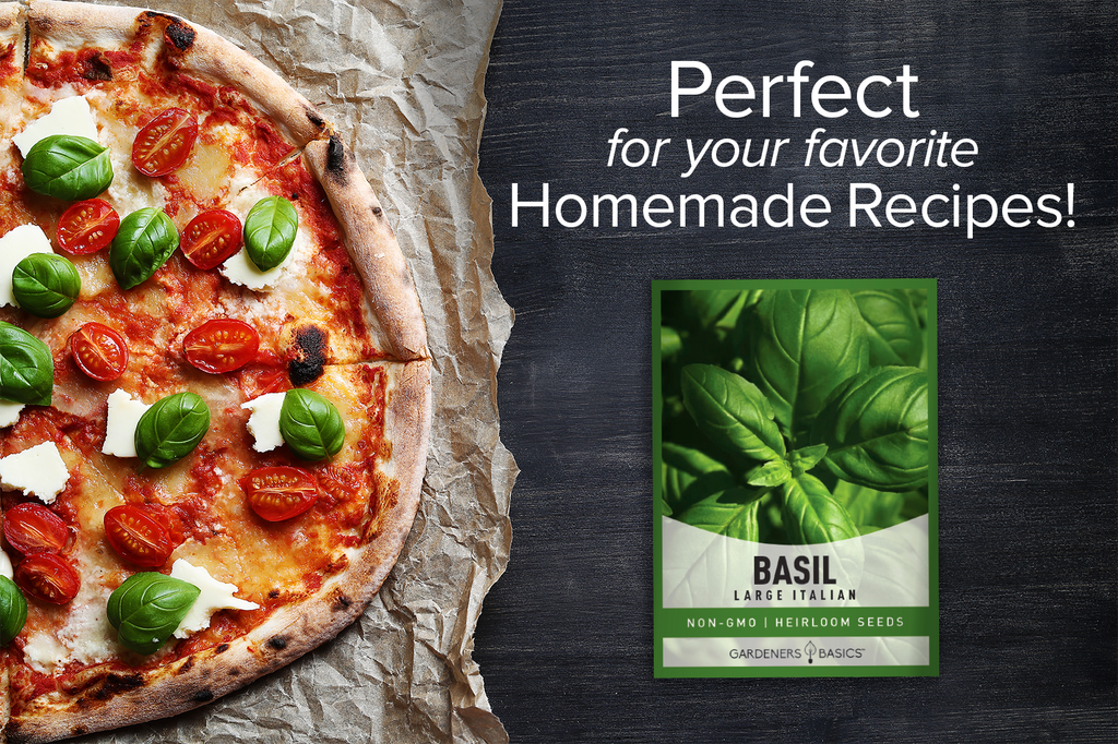 Non-GMO Italian Large Leaf Basil Seeds - Enjoy a Natural, Aromatic Garden