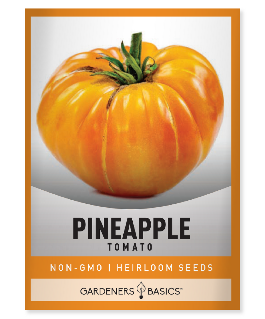 Pineapple Tomato Seeds Heirloom Tomatoes Organic Tomato Seeds Non-GMO Seeds Pineapple Tomatoes Exotic Tomatoes Tomato Seeds for Planting Marbled Tomatoes Tropical Flavor Tomatoes Home Gardening Garden Seeds High-Germination Seeds