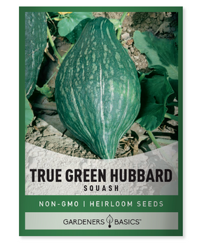True Green Hubbard Squash Heirloom Squash Seeds Sustainable Gardening Nutrient-Rich Harvest Squash for Planting Versatile Garden Vegetable Non-GMO Squash Seeds Green Hubbard Squash Delicious Squash Variety Squash Growing Tips Squash Harvesting Squash Storage Garden Success Eco-Friendly Gardening Flavorful Squash Health Benefits Antioxidant Properties Easy-to-Grow Squash Winter Squash Long-Lasting Storage