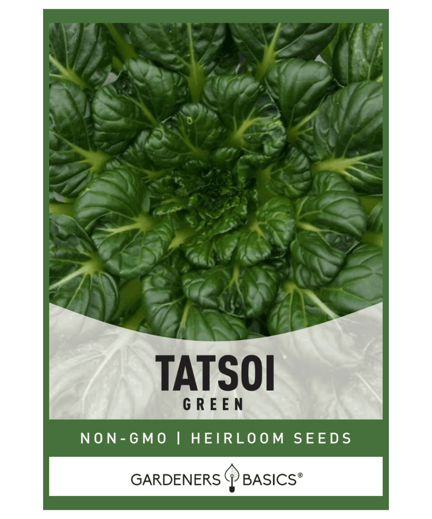 Tatsoi Seeds Asian Greens Organic Seeds Non-GMO Seeds Cold-Hardy Greens Nutrient-Dense Greens Tatsoi Planting Home Garden Healthy Gardening Brassica rapa narinosa Rosette Bok Choy Spoon Mustard Spinach Mustard Easy-to-Grow Greens Vegetable Seeds
