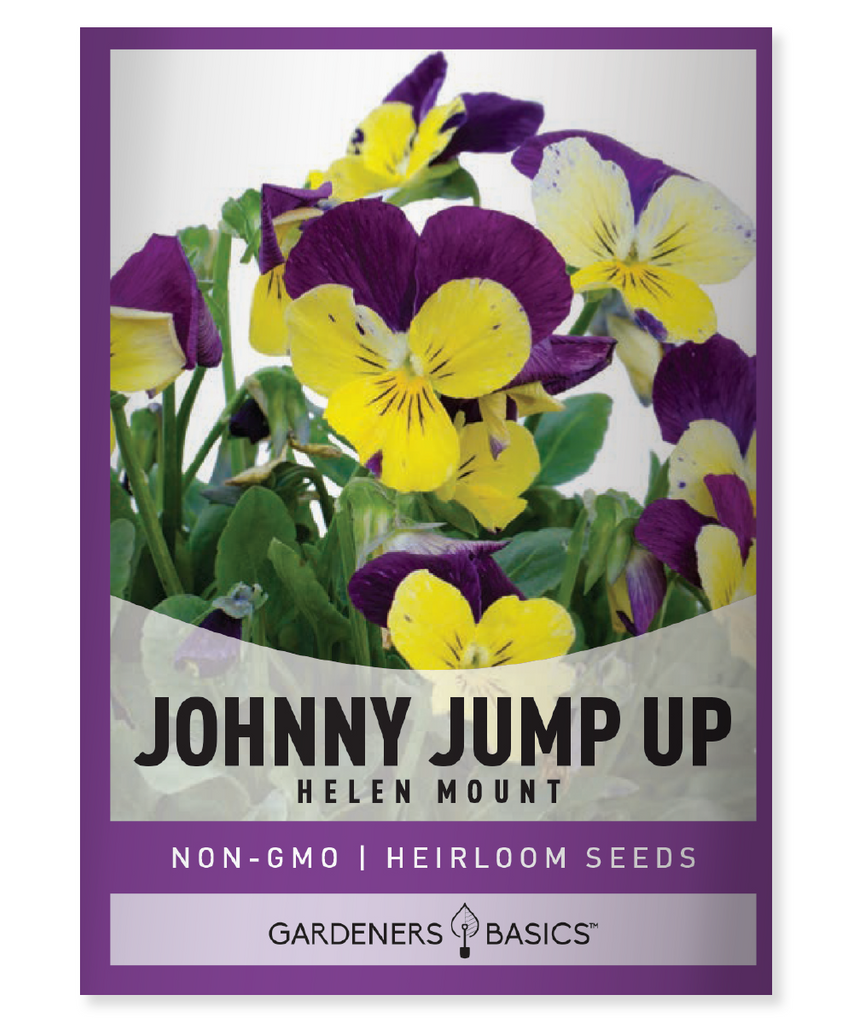 Helen Mount Johnny Jump Up Viola cornuta flower seeds planting tri-colored viola fragrant flowers spring flowers fall flowers reseeding plants rock garden wild garden full sun partial shade mixed colors perennial annual