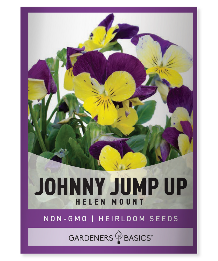 wild garden seeds Helen Mount Johnny Jump Up Flower Seed for Planting Easy-to-Grow Viola – Gardeners Basics