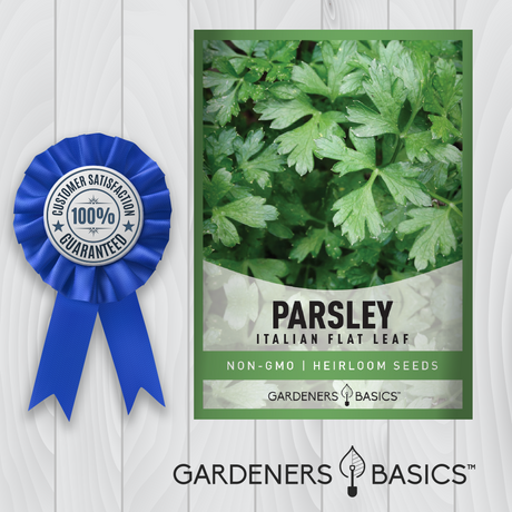 Plant Italian Flat Leaf Parsley Seeds for an Abundant, Flavorful Harvest