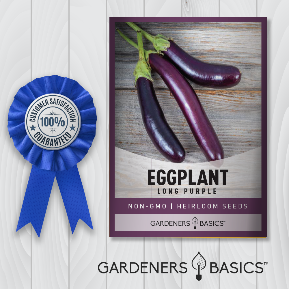 Get Started with Long Purple Eggplant Seeds: Garden Success Guaranteed